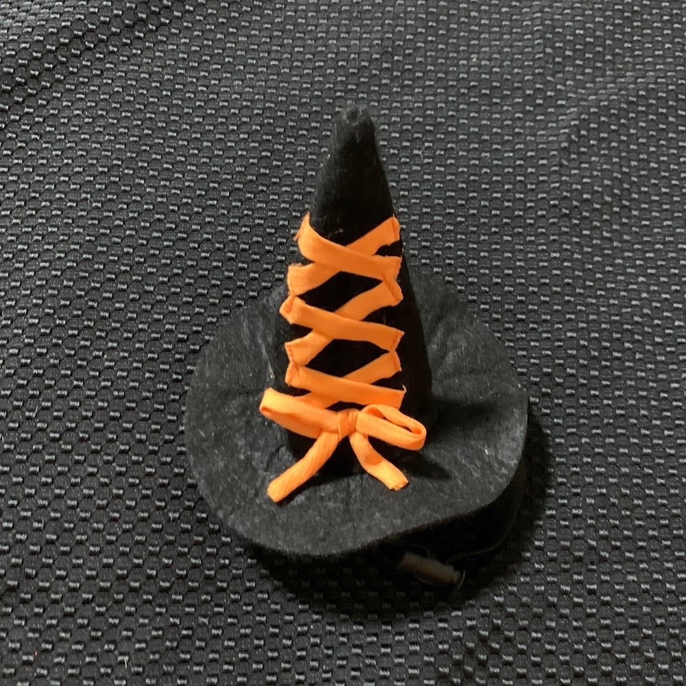 Pet Witch Hat